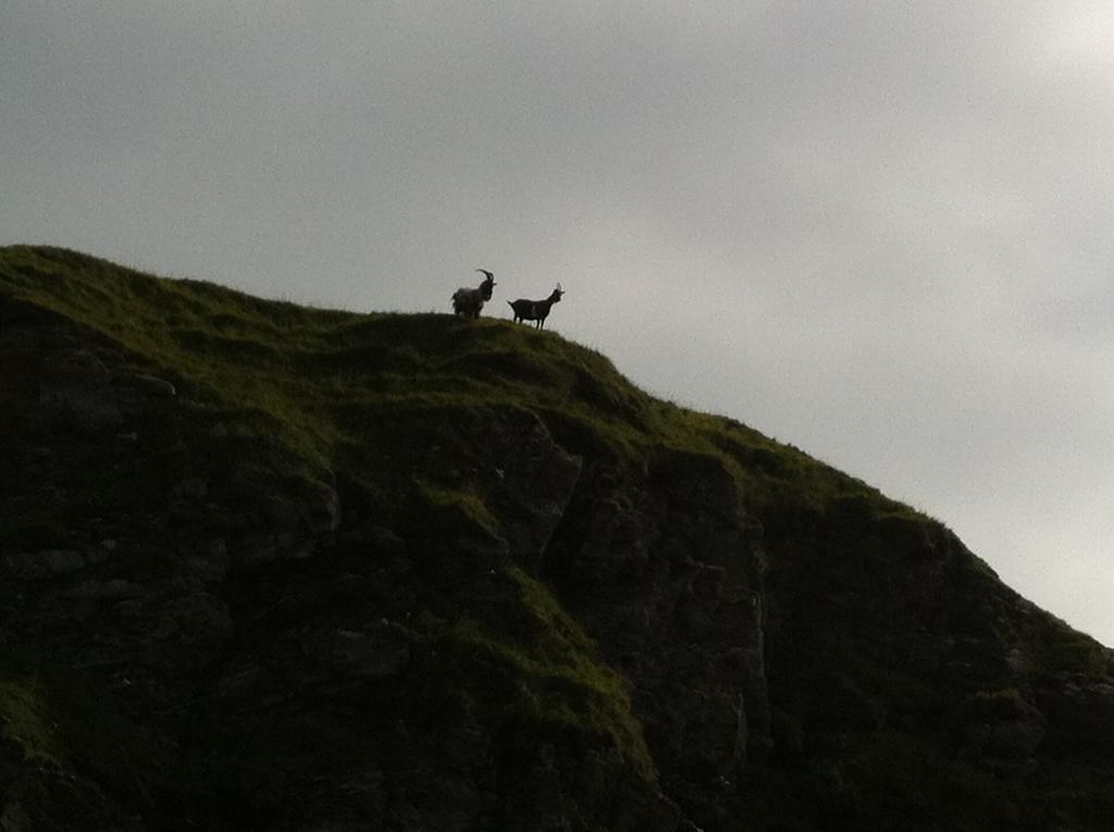 An Cuan Hotell Bowmore Exteriör bild